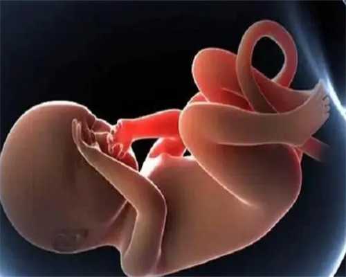 2026年一二三代试管婴儿技术深度对比：高龄生子与供卵助孕方案选择指南